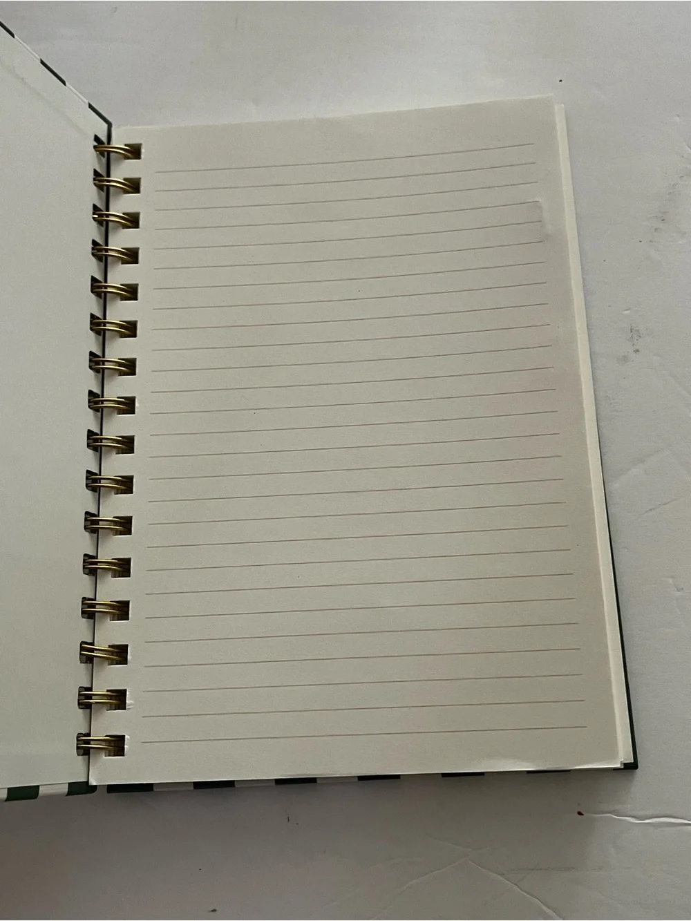Punch Studio Ringed Note Book NWT